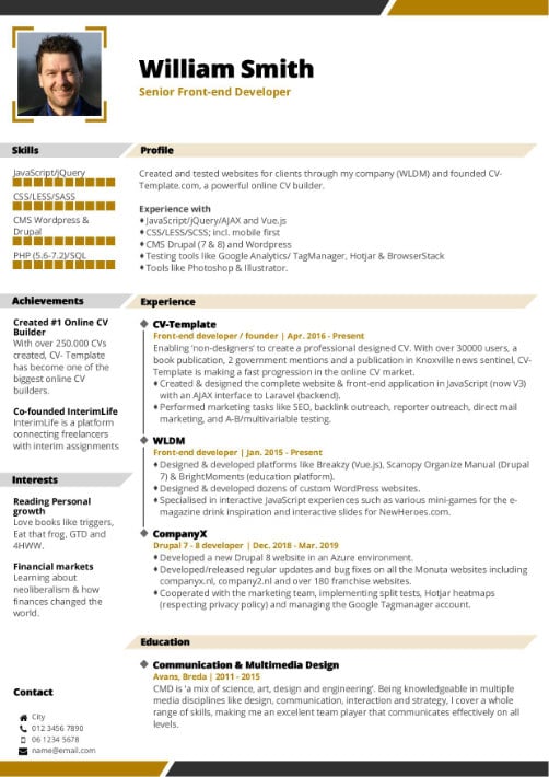 professional CV Template design